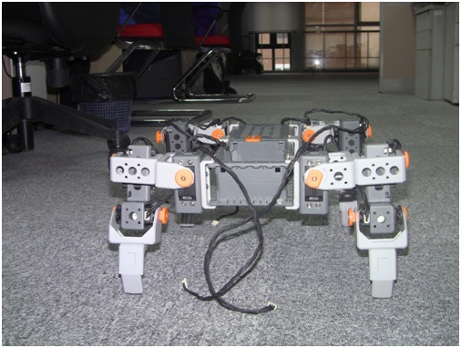 file:smalldog28.jpg