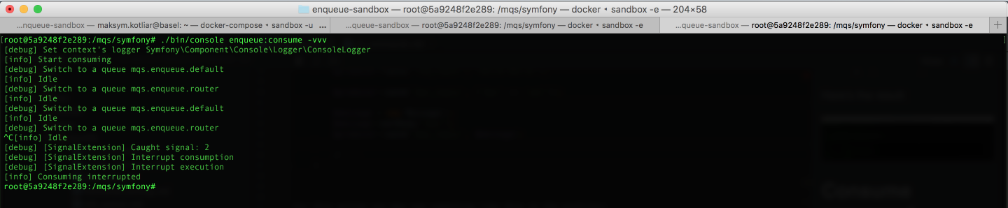 consume_command_verbosity.png