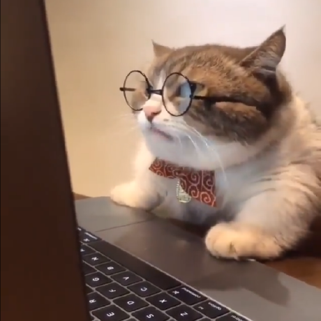 User avatar: Tony Vitonis